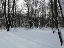 IMG 20210221 135430.jpg