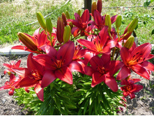 ����� � ���������