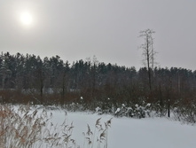 IMG 20210221 125410.jpg