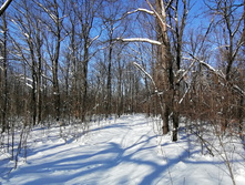 IMG 20210223 121729.jpg