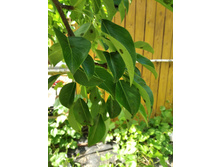 ����������� viber 2021-02-22 10-07-531.jpg