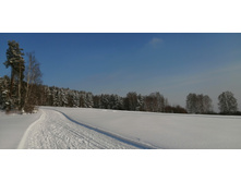 IMG 20210214 124238.jpg