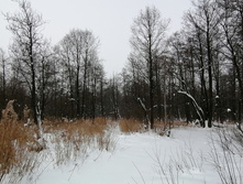 IMG 20210221 131738.jpg