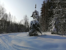 IMG 20210214 111416.jpg