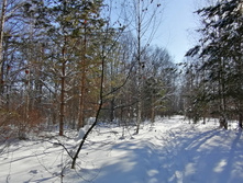 IMG 20210223 123902.jpg