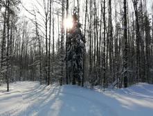 IMG 20210214 110005.jpg