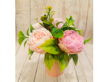 Photostudio 1604045898094.jpg