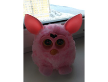 IMG 20210207 131546.jpg