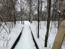 IMG 20210227 103041.jpg