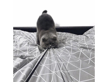 ������, ���ߣ�!