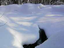 IMG 20210214 112552.jpg