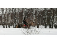 IMG 20210227 111512.jpg