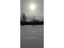 IMG 20210227 114258.jpg