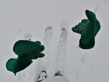 IMG 20210221 122730.jpg