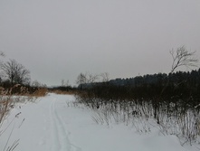 IMG 20210221 124428.jpg