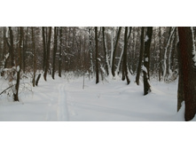 IMG 20210221 135448.jpg