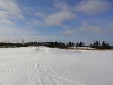 IMG 20210206 112809.jpg