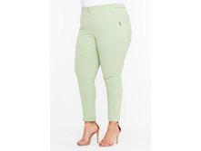 ����� ������ 1000� �.jpg