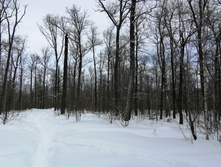 IMG 20210227 110505.jpg