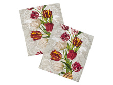 ����� ��������� "�������" 50�60 (3 ��.), ��������� ������� (����������� �������)