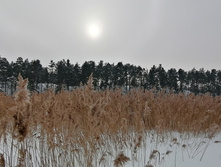 IMG 20210221 121753.jpg