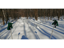 IMG 20210223 115032.jpg