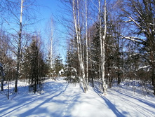 IMG 20210223 123143.jpg