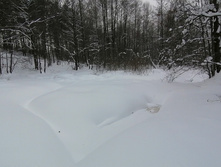 IMG 20210221 133136.jpg