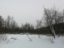 IMG 20210221 131510.jpg