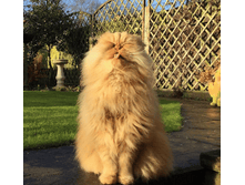 �������!