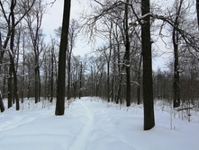 IMG 20210227 110202.jpg