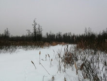 IMG 20210221 125111.jpg