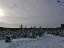 IMG 20210207 103020.jpg