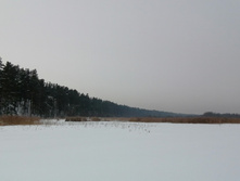 IMG 20210221 121056.jpg