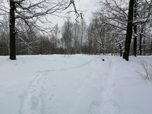 IMG 20210227 104627.jpg