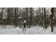 IMG 20210221 135503.jpg