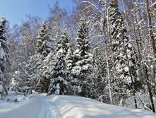 IMG 20210214 114859.jpg