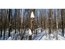 IMG 20210223 115305.jpg