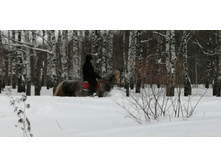 IMG 20210227 111510.jpg