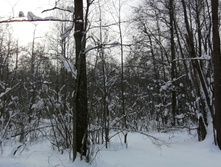 IMG 20210221 134421.jpg