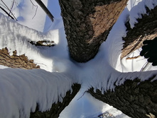 IMG 20210223 120753.jpg