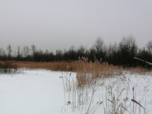 IMG 20210221 124411.jpg