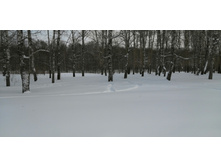 IMG 20210227 112317.jpg