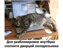 IMG 20210202 152251.jpg