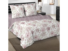 ������ ���� 220 �� ������+���������