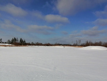 IMG 20210206 112728.jpg