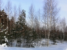 IMG 20210221 151420.jpg