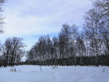 IMG 20210227 111618.jpg