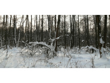 IMG 20210221 140120.jpg