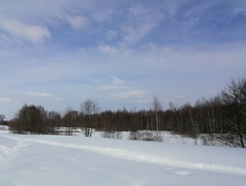 IMG 20210227 112719.jpg